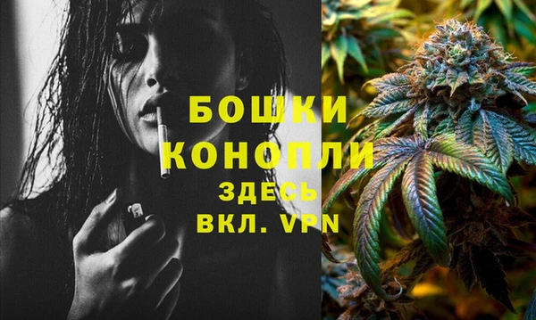 сатива Абдулино