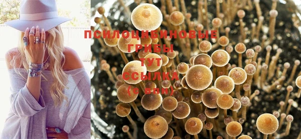 молекула духа Абаза