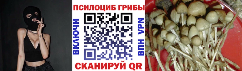 Псилоцибиновые грибы прущие грибы цены кракен маркетплейс Барнаул